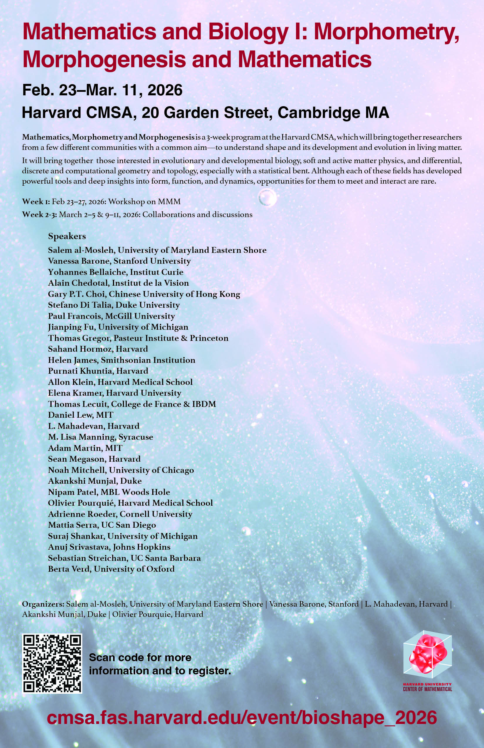 Mathematics and Biology I: Morphometry, Morphogenesis and Mathematics