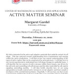 CMSA-Active-Matter-Seminar-02.10.22
