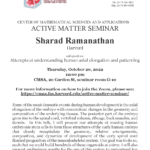CMSA Active Matter Seminar 10.20.22