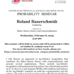 CMSA Probability Seminar 02.08.23
