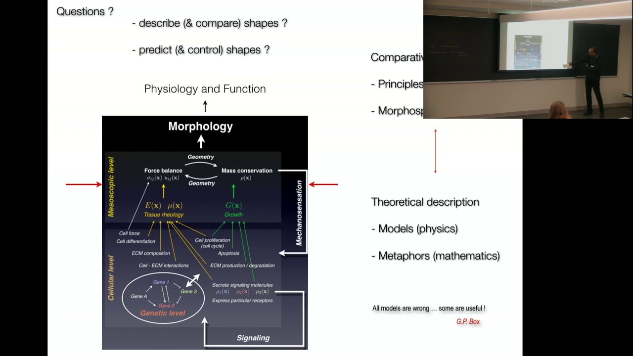 Videos of the Workshop on Morphogenesis Geometry and Physics
