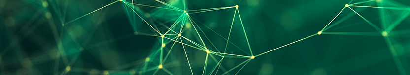 Conference on Geometry and Statistics